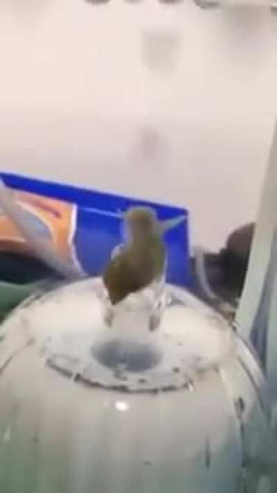 Maybe Maybe Maybe