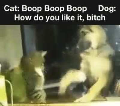 Take that