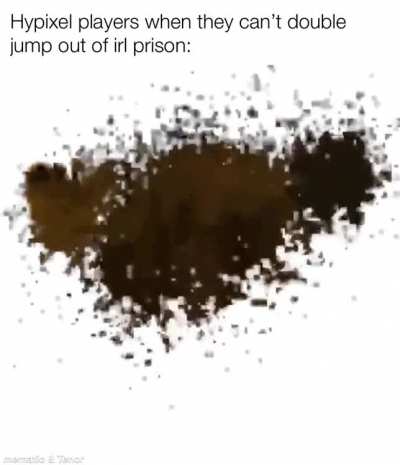 Hypixel players: