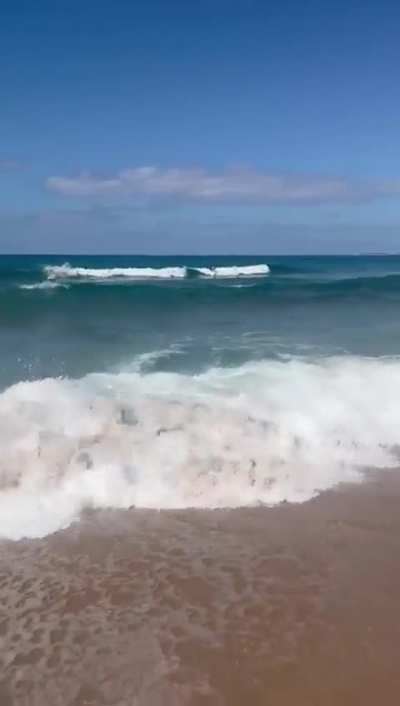 Surf in Cyprus