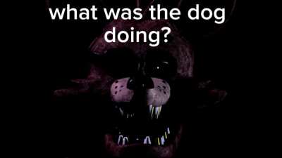 Foxy's daily vibe check 