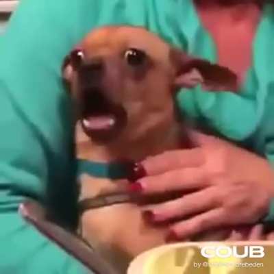 Auuu
