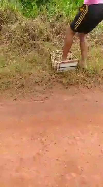 O Brasil ainda tem jeito =)