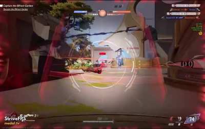 When the corpses landed next to each other, I almost felt bad… almost.