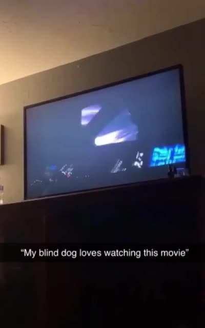 💀
