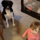 Don't embarrass me in front the dog.