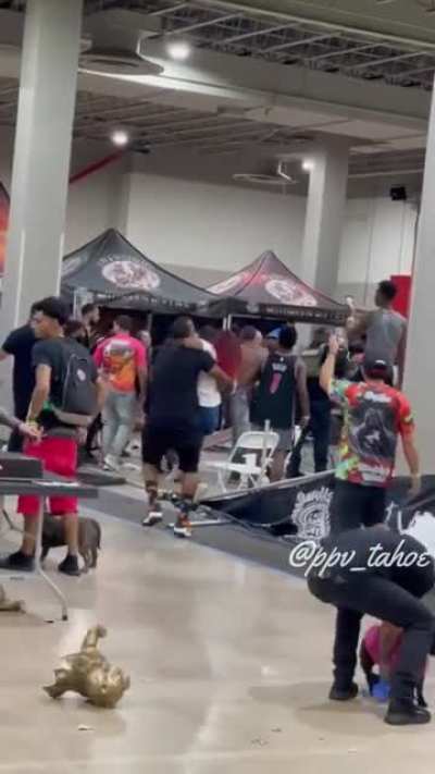 Brawl at a dog show in Miami