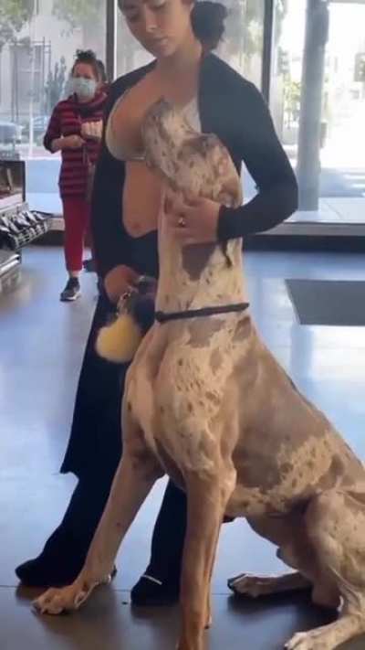 This absolute beast