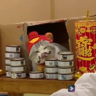 Guardian of the can food