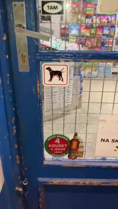 No dogs allowed