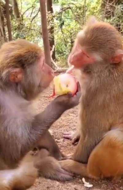 Watch me as I eat this apple