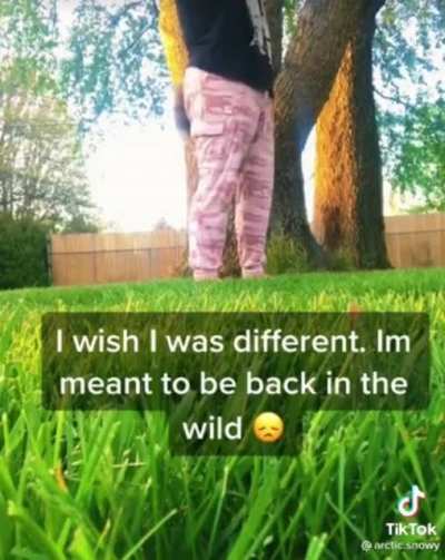 I wAs NoT mEaNt To bE iN tHiS bOdY