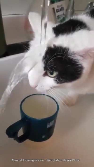 Reboot Required