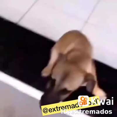 O bastião
