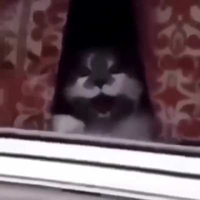 Just trying to say hi