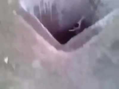 cursed_parkour