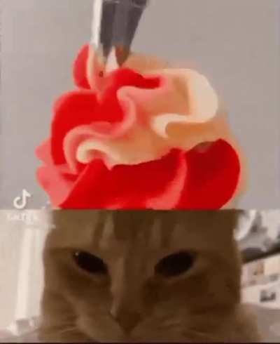 delectable