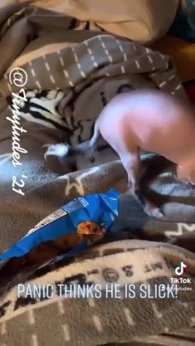 Is there a difference between animals and children?