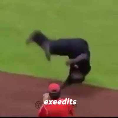 without headphone pls
