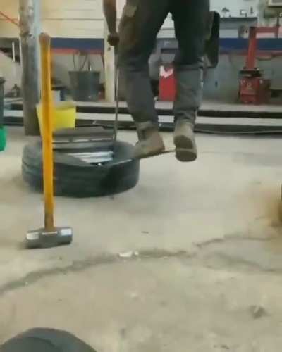 natural selection