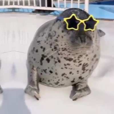 Pretty Fly For A White Guy