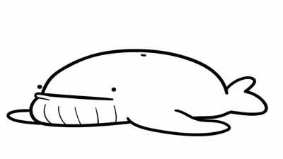 Come in let’s do the whale dance