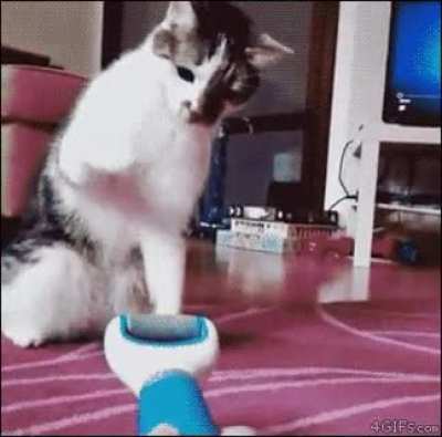 The special move