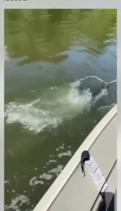 A good day for fishing