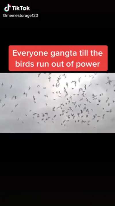 That's what happens to 
