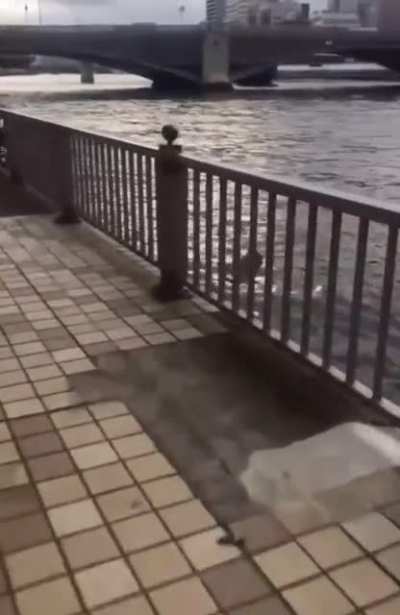 I felt that loss