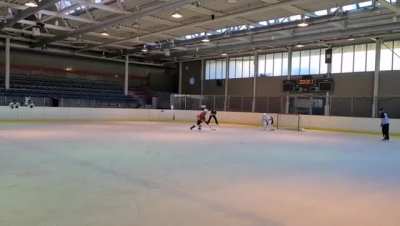At a recent hockey game