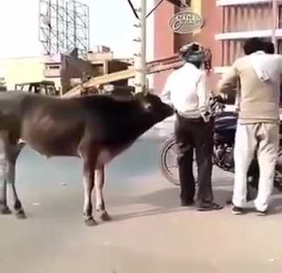 Nice ass bro