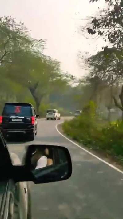 Vip Protocol