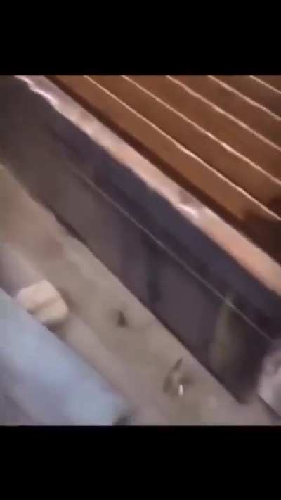 Jaja