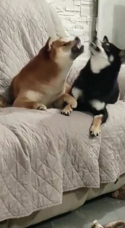 Little discussion over a sit place