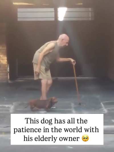 Man's best friend 🥹