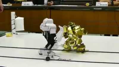 I didn't know bot fighting was an actual thing
