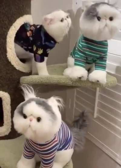 Maybe Maybe Maybe
