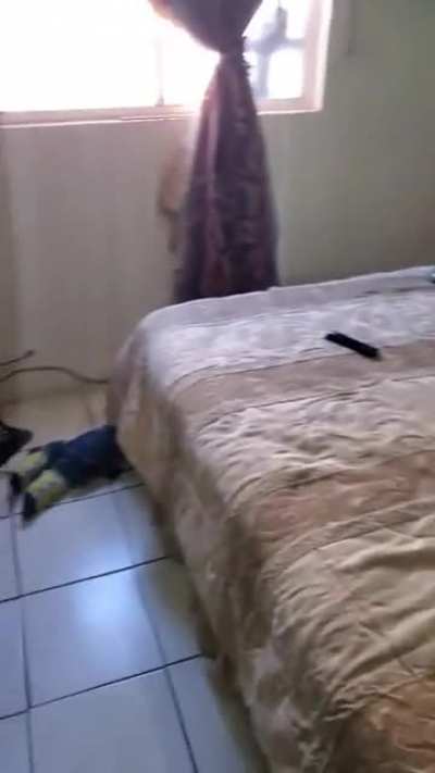 Saul