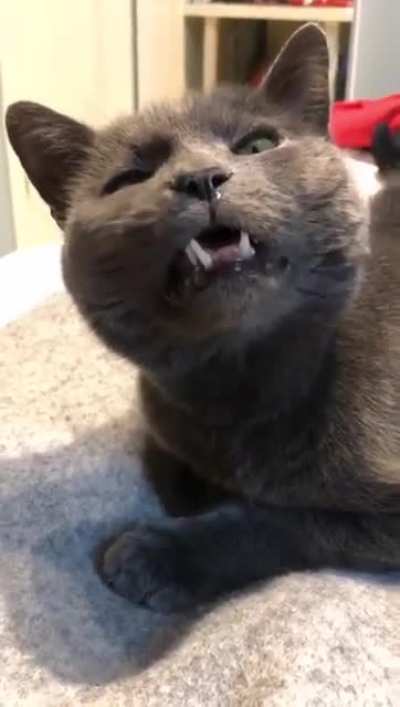 sneezy