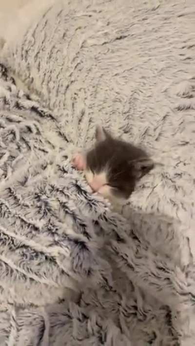 duerme mejor que yo