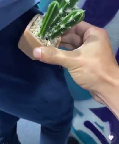 Pocket surprise!