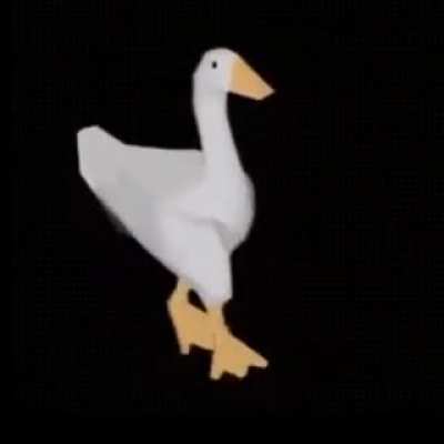 I saw some duck dancing on this sub. Now have a goose