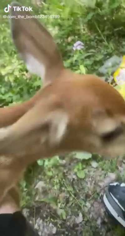 A new friend