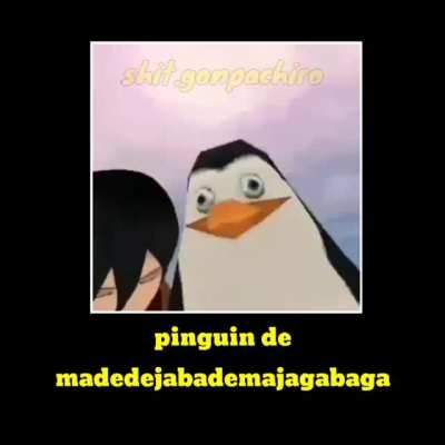 Pinguim de...