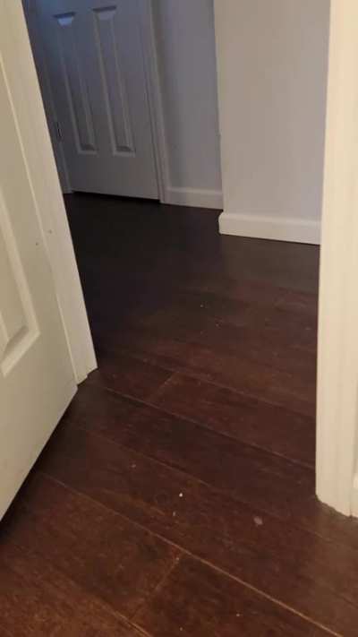 Shout out (literally) to this Sub for making my cat seem less abnormal.