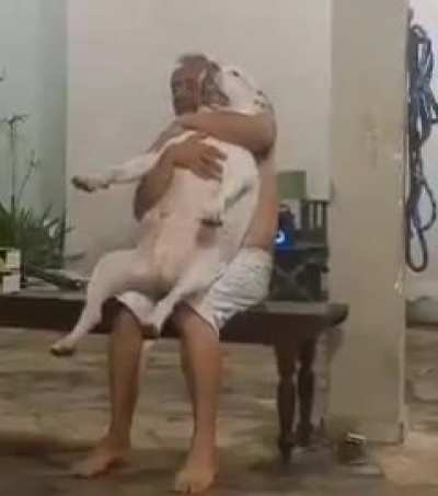 Godinho 🐶