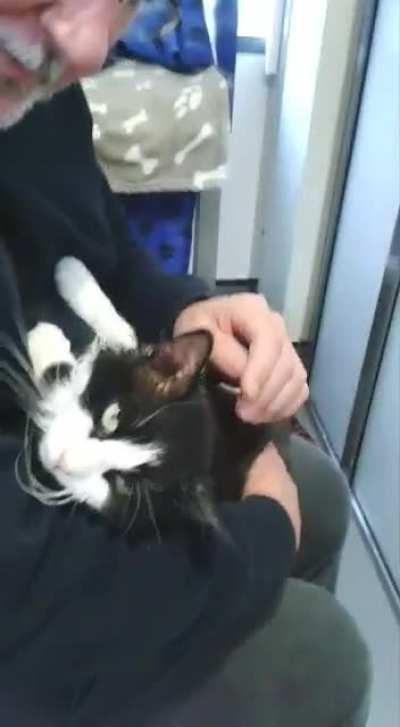 The first time meeting cat at the shelter. Love at first sight!
