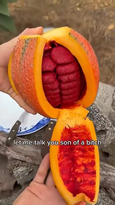 what kind of fucking ULTRAFRUIT is this