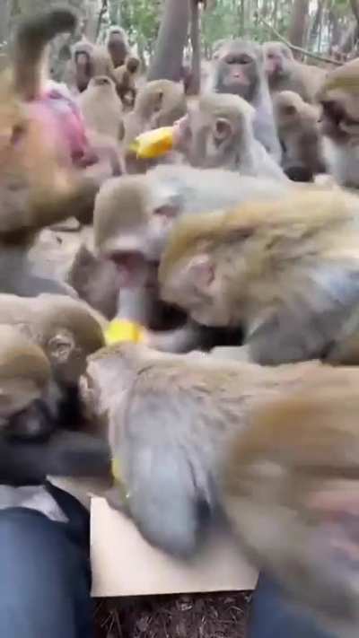 Maybe Maybe Maybe